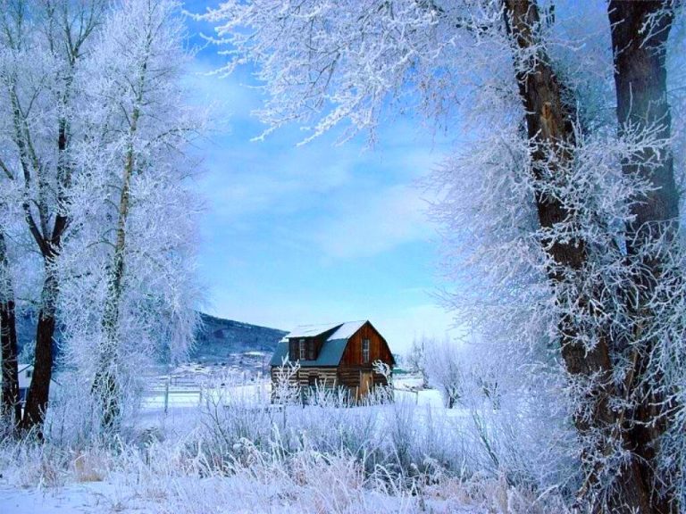photo paysage hiver