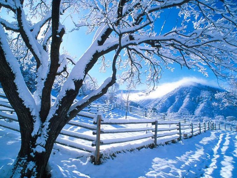 photo paysage hiver