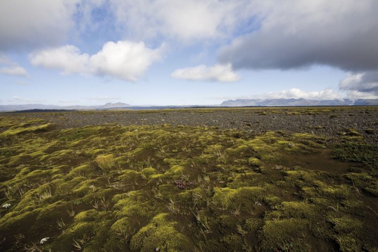 photo paysage islande