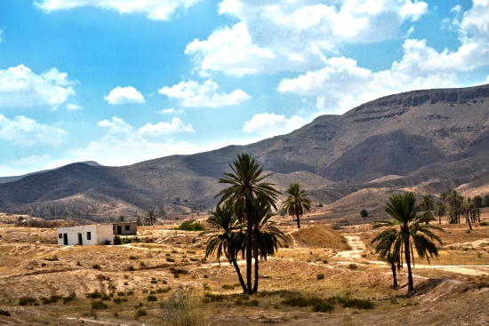 photo paysage tunisien