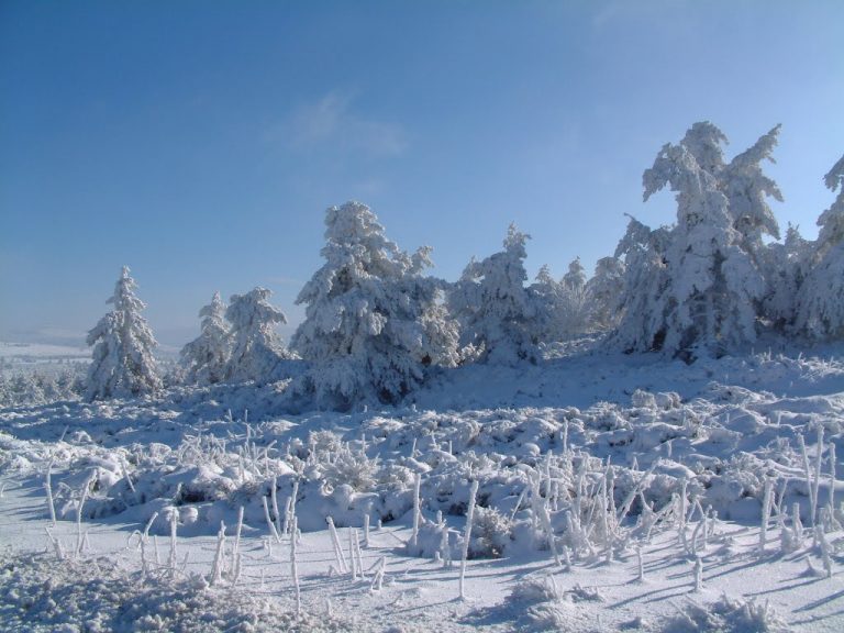 photo photo paysage sous la neige