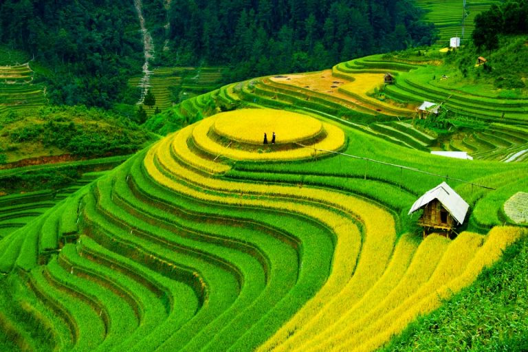 photo image paysage vietnam