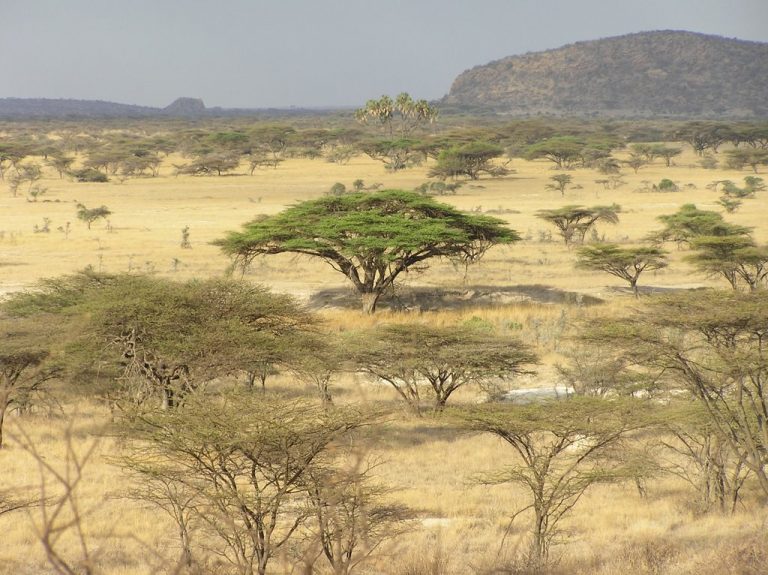 photo photos paysages kenya