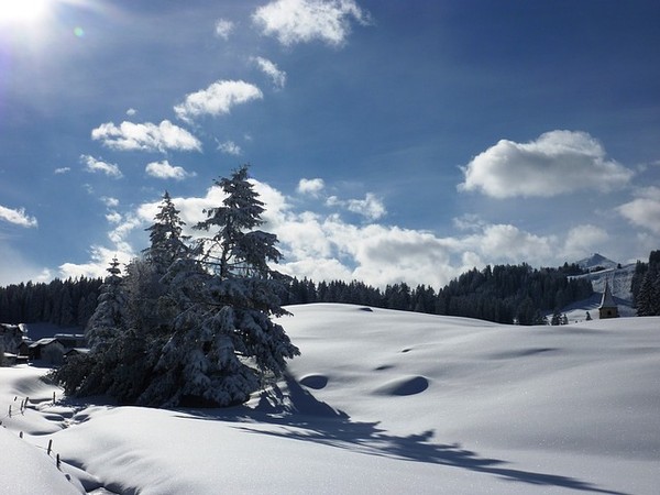 photo image paysage en hiver
