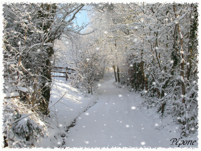 photo image paysage en neige
