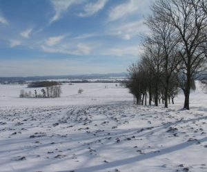 Image paysage froid