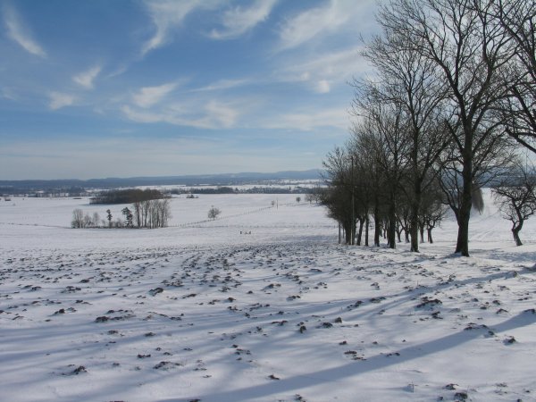 photo image paysage froid