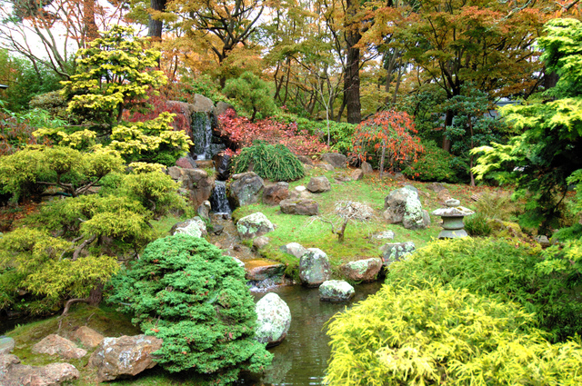 photo photo paysage jardin japonais