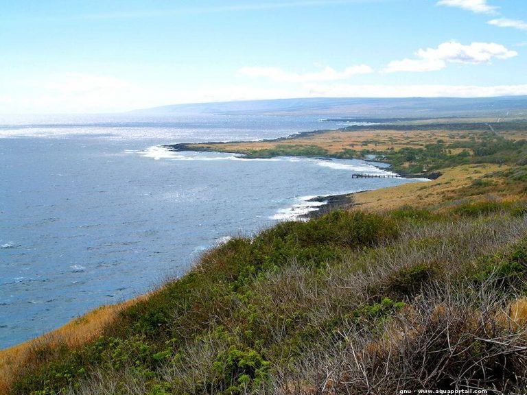 photo photo paysage littoral