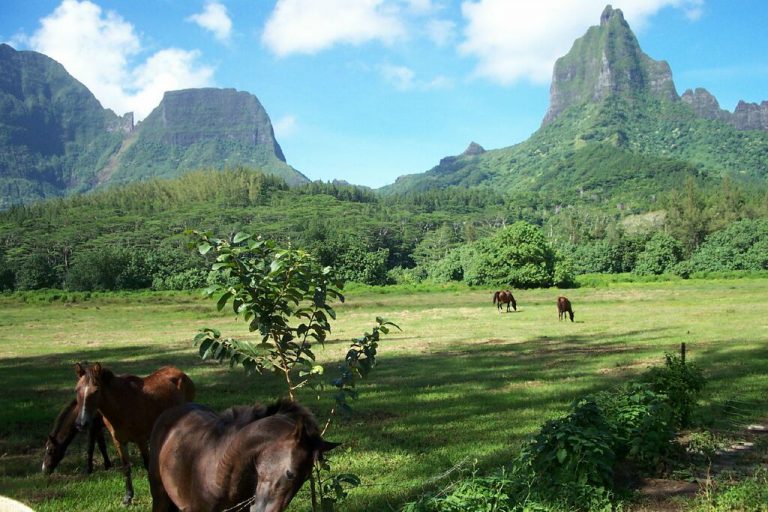 photo photo paysage tahiti