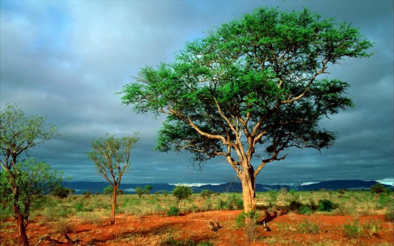 photo paysage afrique