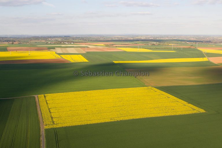 photo paysage agricole