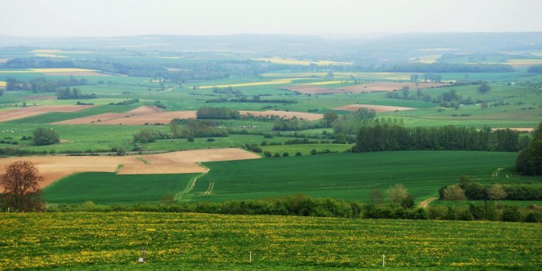 photo paysage agricole