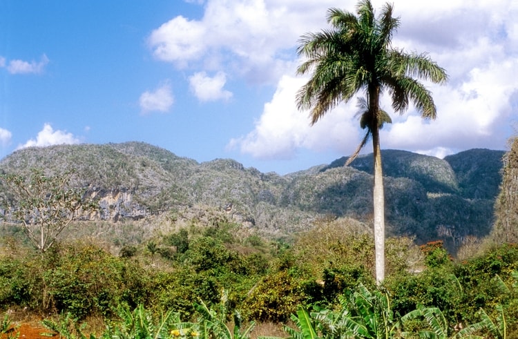 photo paysage cuba