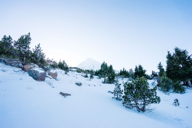 photo image paysage de neige