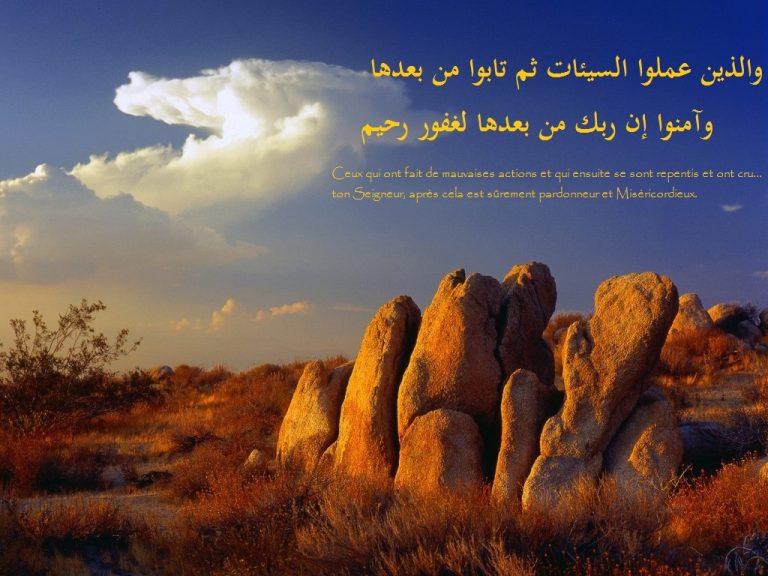 photo image paysage islam